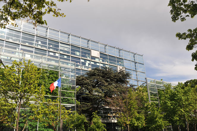 fondation cartier